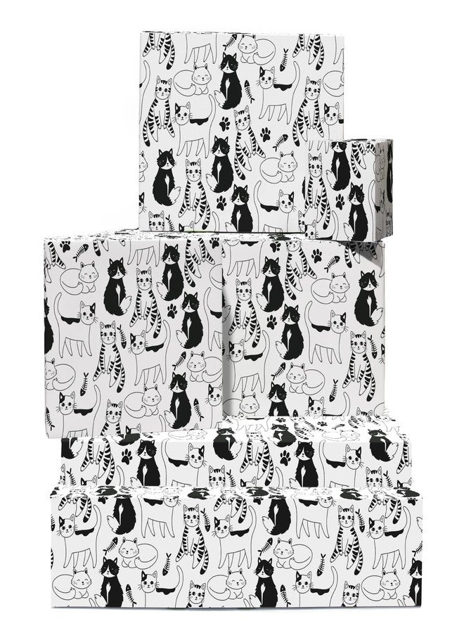 CENTRAL 23 Cat Wrapping Paper - Cats, Doodles, Black And White - 6 Sheets of Giftwrap for Pet Lovers Girls Boys Women Men - All Occasion Birthday - Comes With Stickers - Image 1